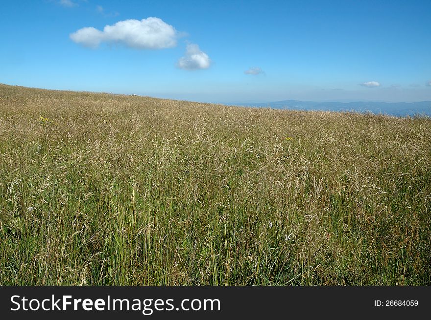 Landscape with meadow and small clouds in mountain Low Fatra, Slovakia