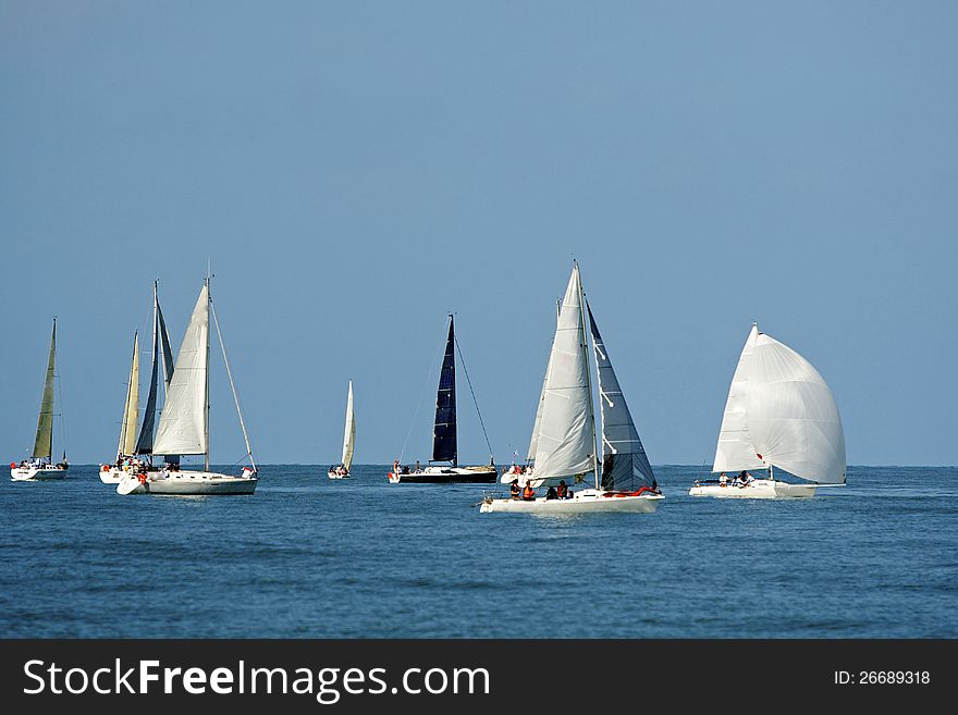 Start of a sailing regatta. The sailing yachts compete in speed.