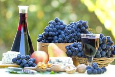 Red Wine And Red Grapes Royalty Free Stock Photos Red Wine And Red Grapes Royalty Free Stock Photos