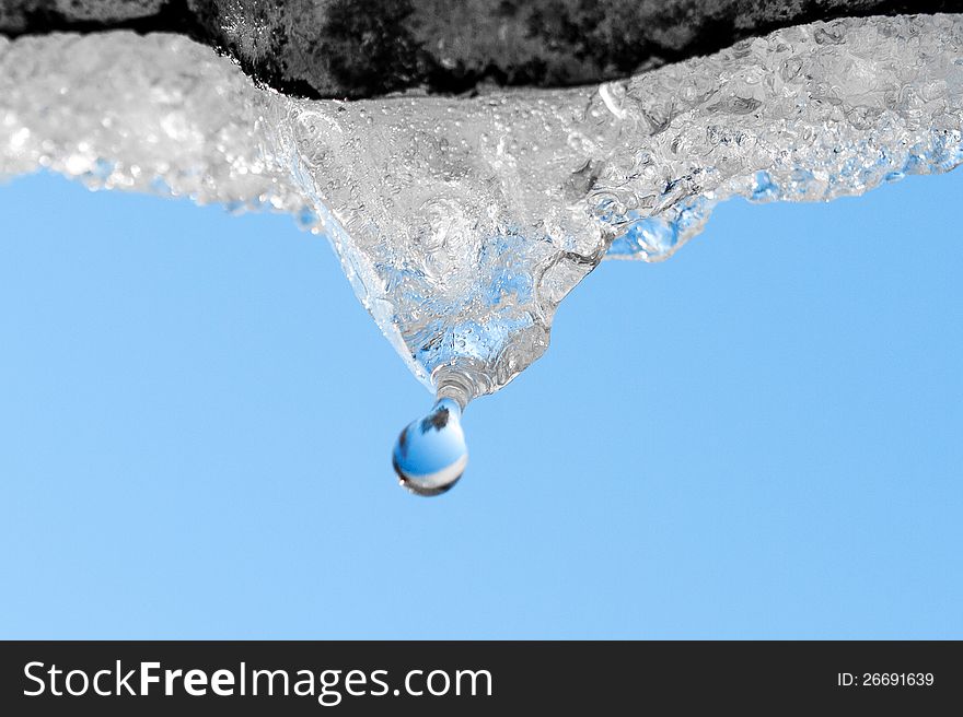 Waterdrop dropping from melting ice in springtime.