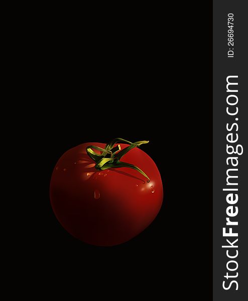Tomato vector in the darkness