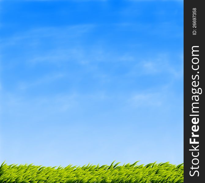 Green Grass Over a Blue Sky Background. Green Grass Over a Blue Sky Background.