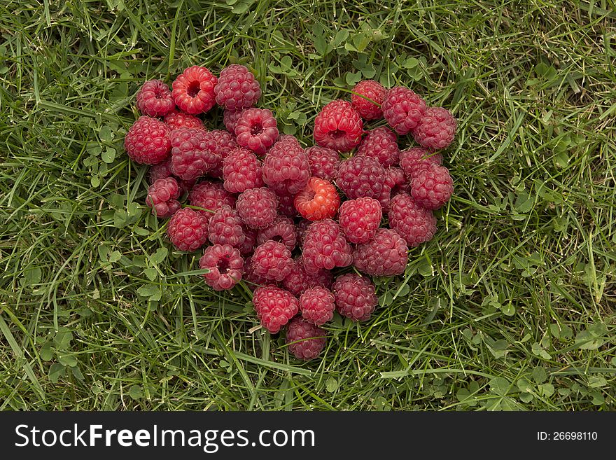 Heart Of Raspberries On The Grass
