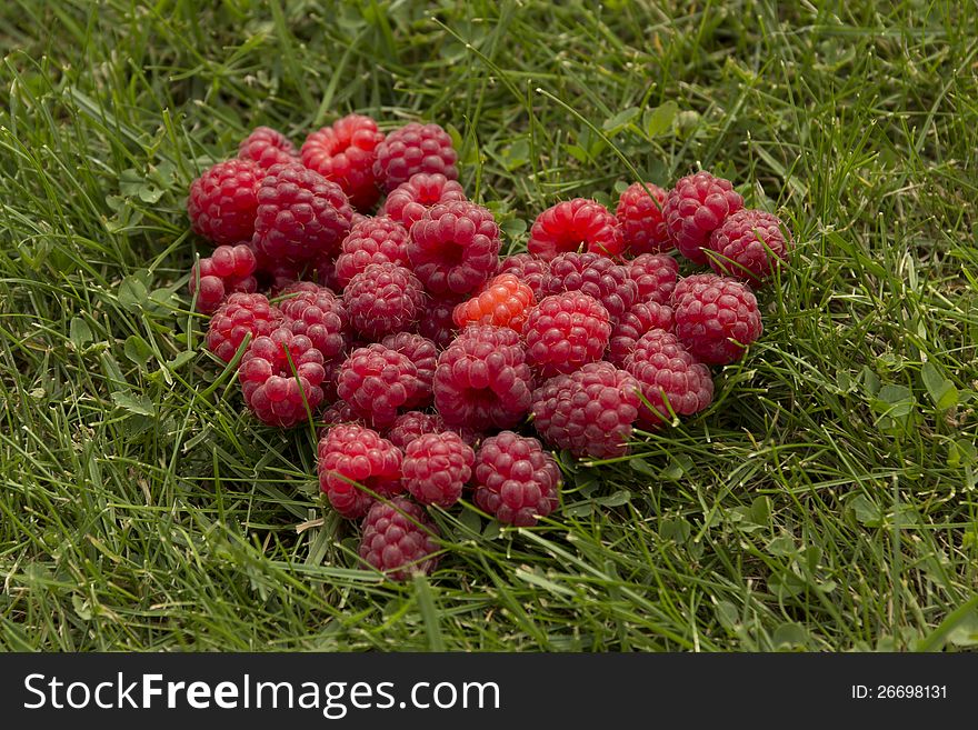 Heart of raspberries on the grass