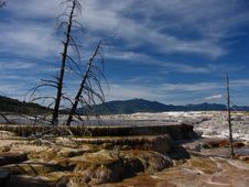 Mammoth Hot Spring Stock Image