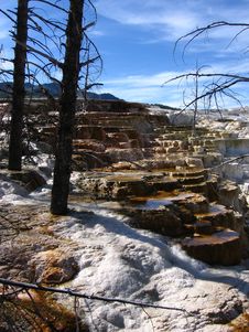 Mammoth Hot Spring Stock Images