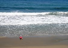 Going For A Swim Royalty Free Stock Image