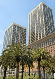 Sky Scrapers And Palm Trees Royalty Free Stock Photos Sky Scrapers And Palm Trees Royalty Free Stock Photos