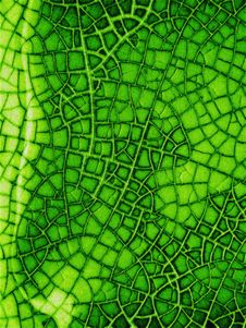 Cracked Glass Texture In Green Royalty Free Stock Photography