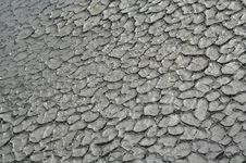 Mud Texture Stock Images