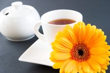 A Cup Of Tea With A Gerbera Stock Photography A Cup Of Tea With A Gerbera Stock Photography