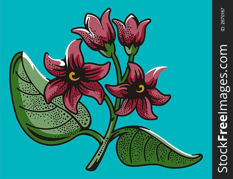 Flower Illustration Series