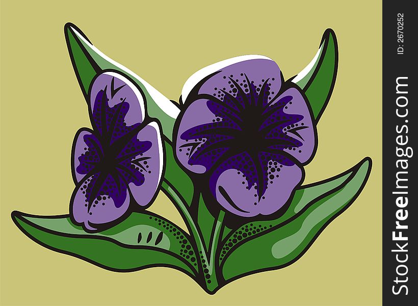 Vector illustration of two violets. Vector illustration of two violets.