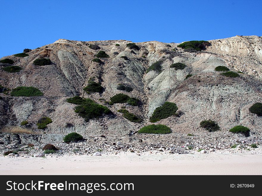 Green bushes try to get grip on an eroding cliff near the ocean. Green bushes try to get grip on an eroding cliff near the ocean.