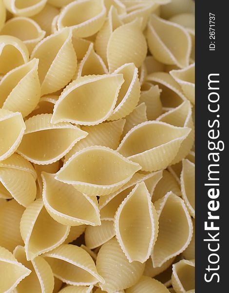 Uncooked Conchiglie dried pasta shells. Uncooked Conchiglie dried pasta shells