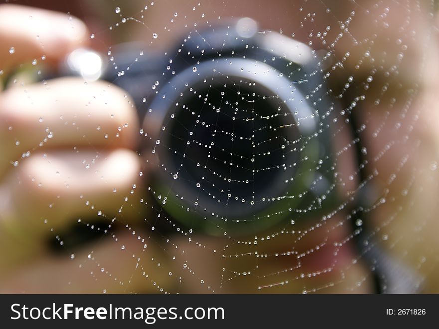 Photographing of a web