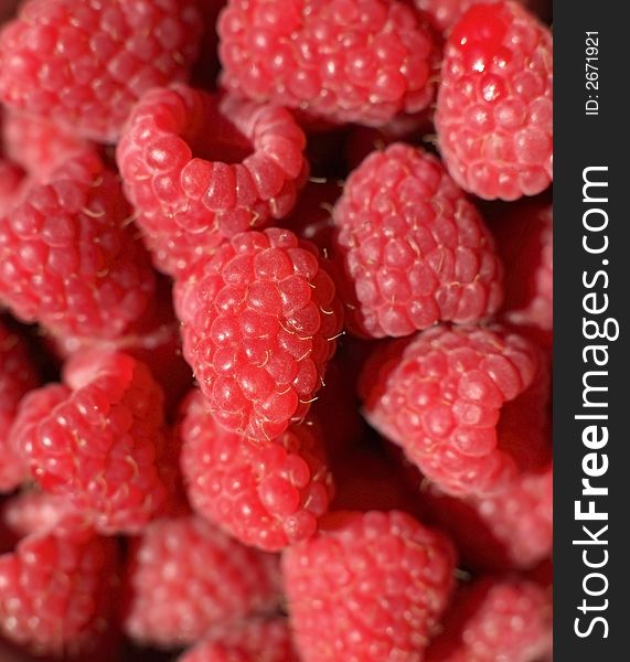 Close-up of Fresh Organic Juicy Raspberries. Close-up of Fresh Organic Juicy Raspberries