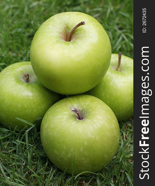 Close-up of granny smith apples in a garden