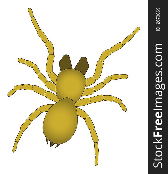 A horrific spider with eight legs - vector illustration. A horrific spider with eight legs - vector illustration