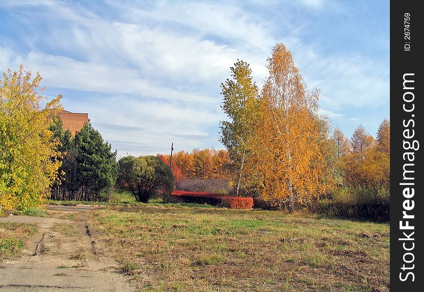Siberia autumn. Trees with gold leafage under blue sky with whith clouds. Siberia autumn. Trees with gold leafage under blue sky with whith clouds.