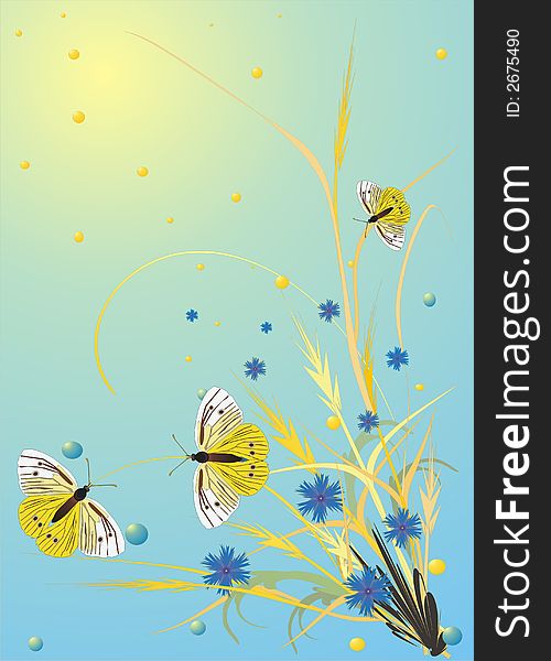 Illustration with butterflies, spikes and flowers on light background. Illustration with butterflies, spikes and flowers on light background