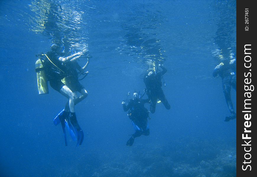 Scuba divers exploring a pristine tropical coral reef under water during dive class. Scuba divers exploring a pristine tropical coral reef under water during dive class