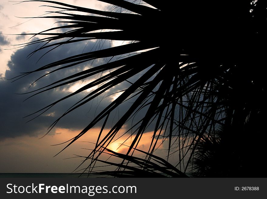 Sunset on a tropical beach, set against silhouette of palmtree foliage in the foreground. Sunset on a tropical beach, set against silhouette of palmtree foliage in the foreground