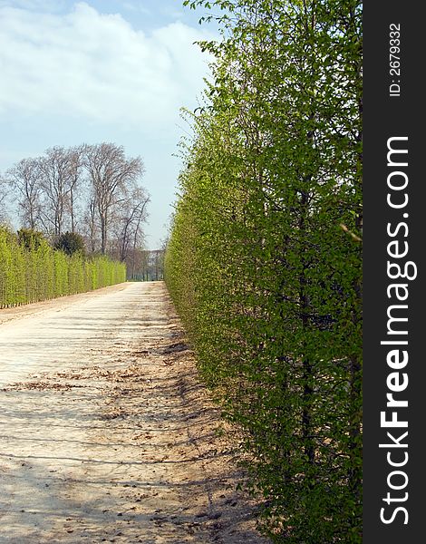 Row of Hedges along a footpath on the grounds of the Palace of Versailles, France