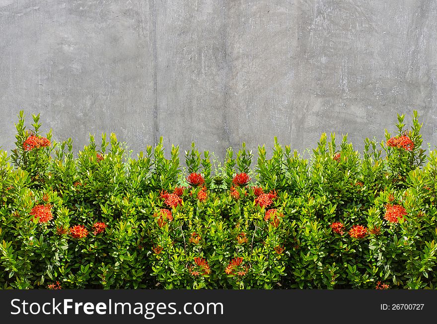 Concrete floorwith white plaster walls background