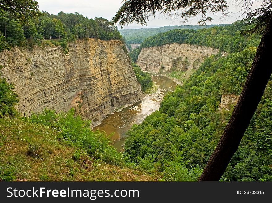 The canyon at Letchworth State Park in New York state with the Genesee River in view. The canyon at Letchworth State Park in New York state with the Genesee River in view