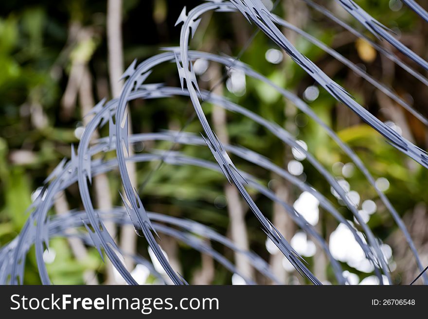 Close-up of a strand of razor wire with a shallow depth of field.