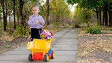 Small Boy With Yellow Truck And Flowers Stock Photos Small Boy With Yellow Truck And Flowers Stock Photos