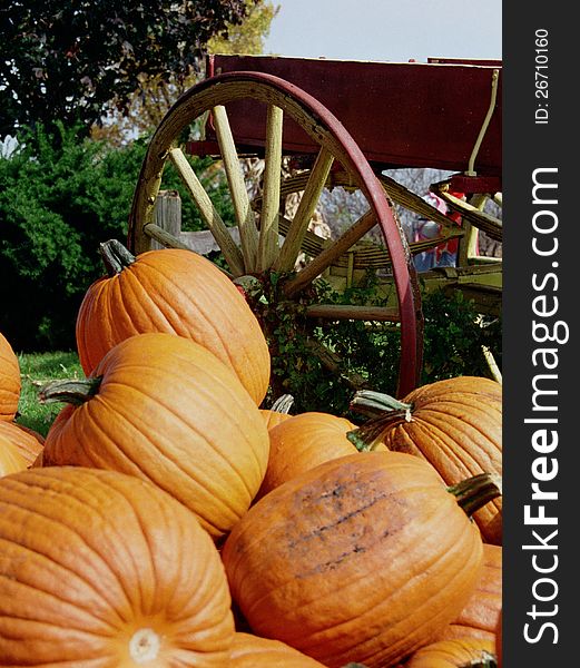 Large pumpkins piled high in front of red wagon with spoked wheel. Large pumpkins piled high in front of red wagon with spoked wheel.