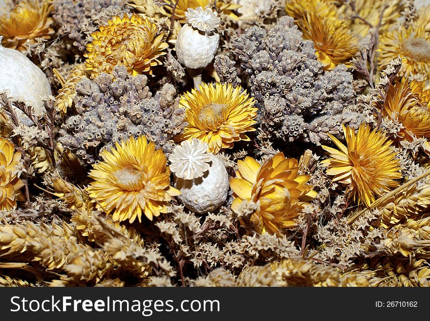 Decoration of dried flowers, background