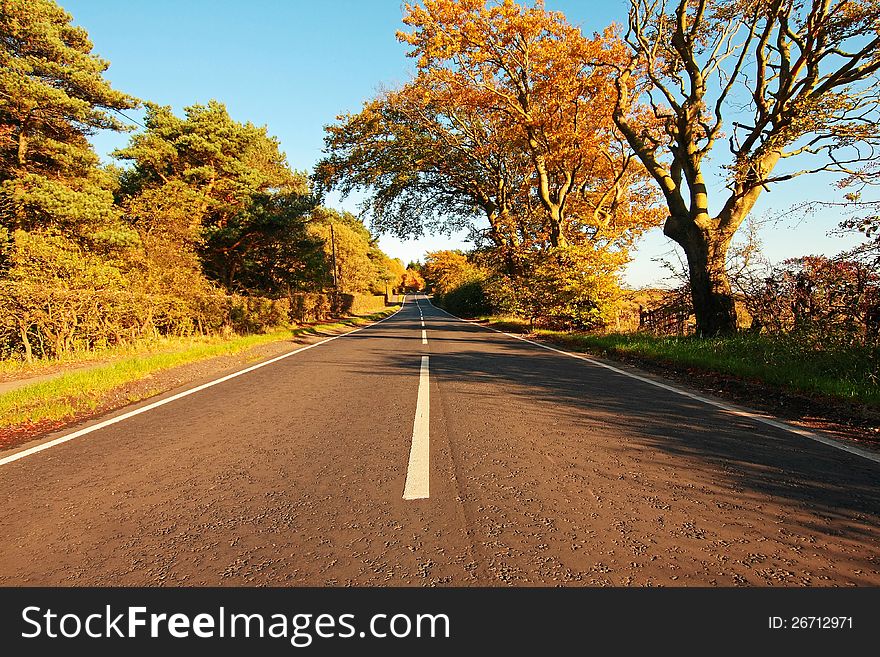 Beautiful Autumnal Road