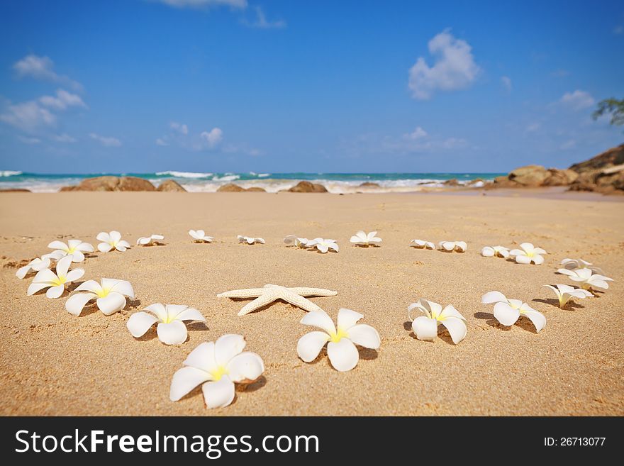 Heart of white frangipani flowers on a sandy beach. Heart of white frangipani flowers on a sandy beach.