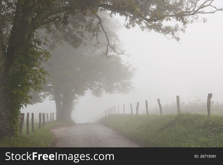 Fog Hovers Around A Country Lane.