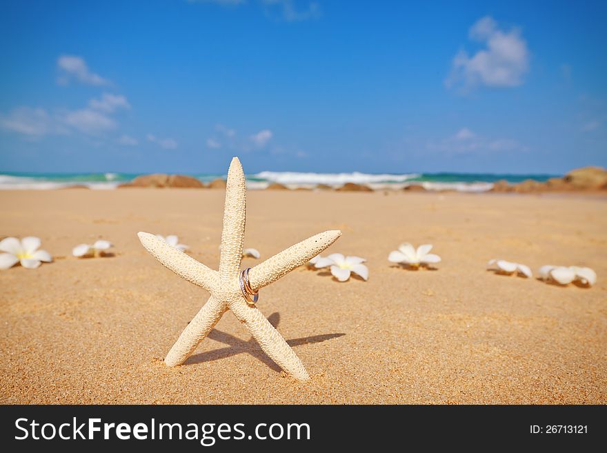 Starfish and wedding rings, white frangipani flowers on the sandy seashore. Starfish and wedding rings, white frangipani flowers on the sandy seashore.