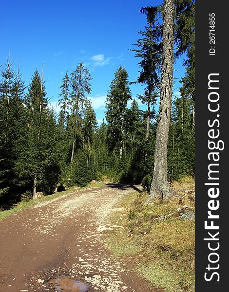 This image presents a road through the Carpatian Mountains in Romania during an autumn trekking day. This image presents a road through the Carpatian Mountains in Romania during an autumn trekking day.