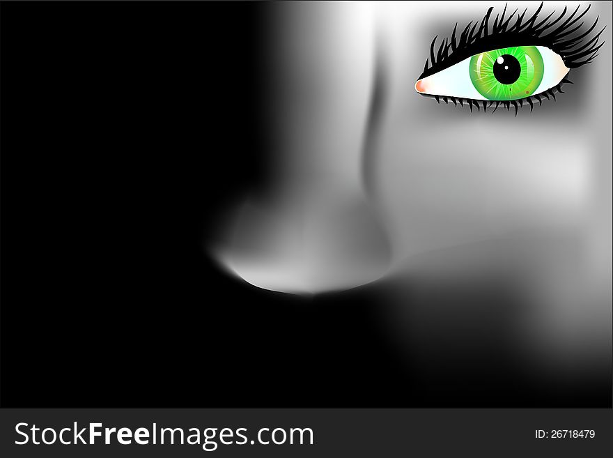Facial contour woman on a black background. Facial contour woman on a black background