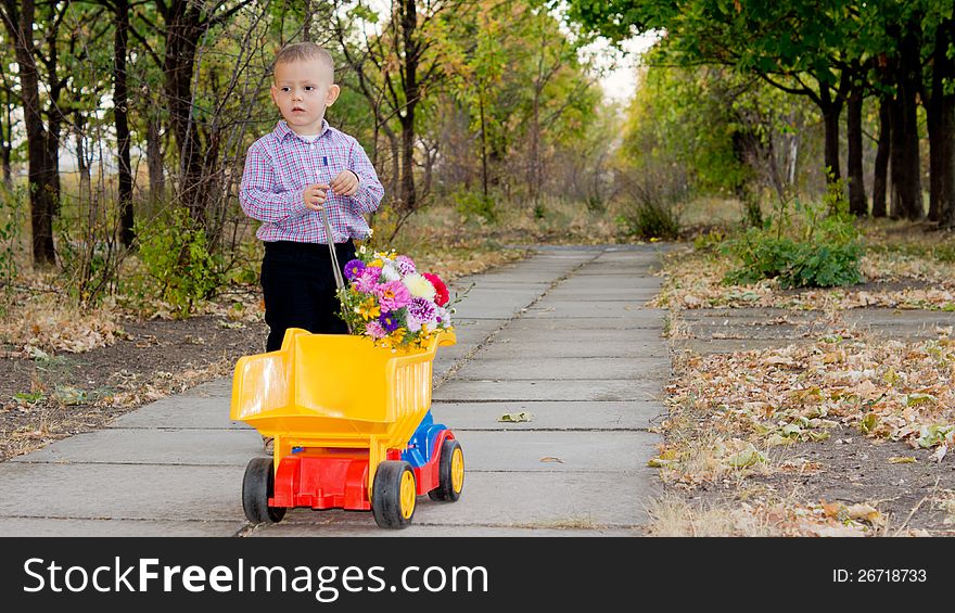 Small Boy With Yellow Truck And Flowers