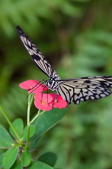 Paper Kite Stock Photography Paper Kite Stock Photography