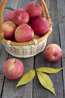 Red Apples In A Basket Royalty Free Stock Photos Red Apples In A Basket Royalty Free Stock Photos