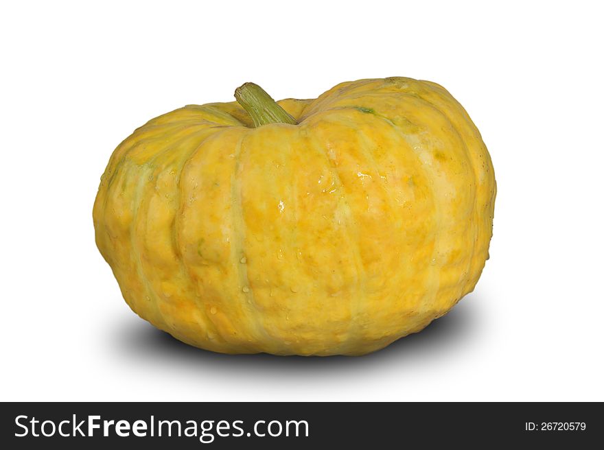 The fresh green pumpkin broken from a kitchen garden. On a white background.