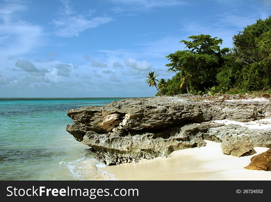 Large rock on the beach with palm trees in the background. Dominican. Large rock on the beach with palm trees in the background. Dominican