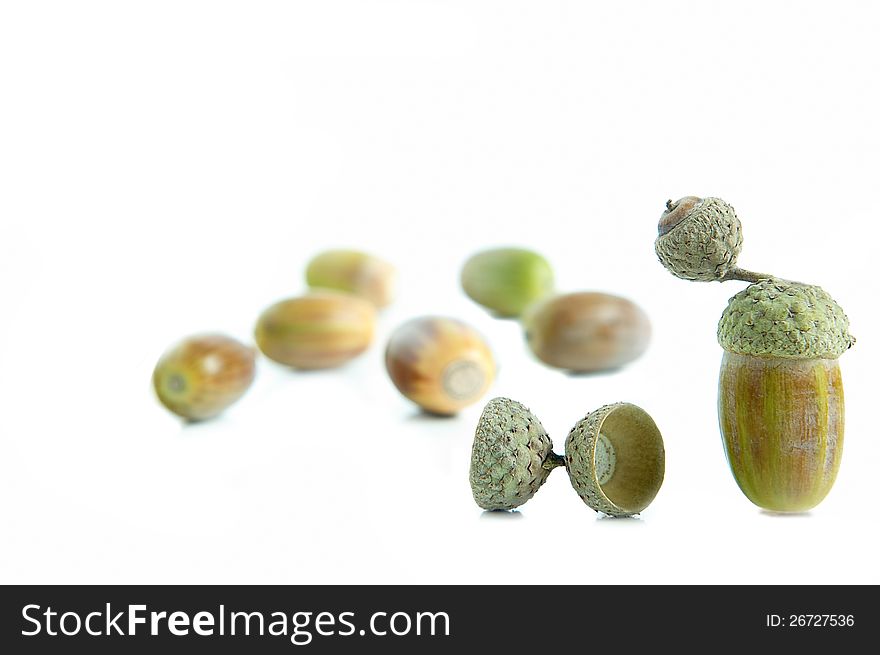 Group of acorns on a white background