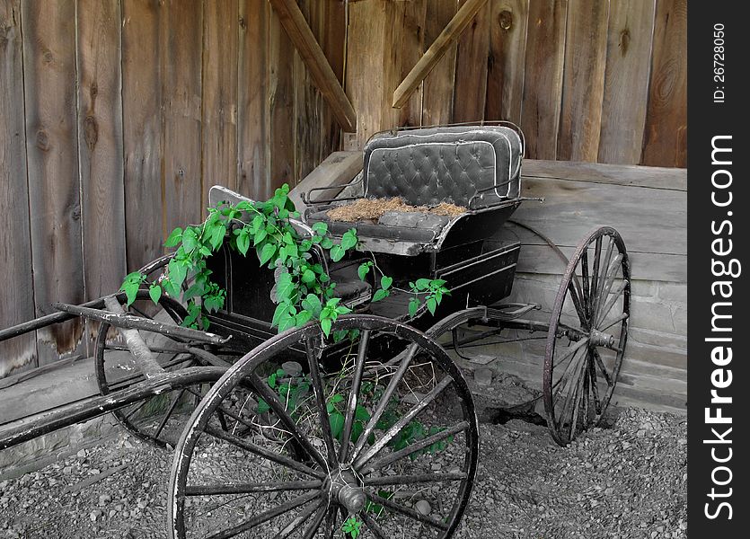 Old and abandoned single horse-drawn two person buggy, often called a doctorâ€™s buggy, sitting in a wooden shed. Old and abandoned single horse-drawn two person buggy, often called a doctorâ€™s buggy, sitting in a wooden shed.