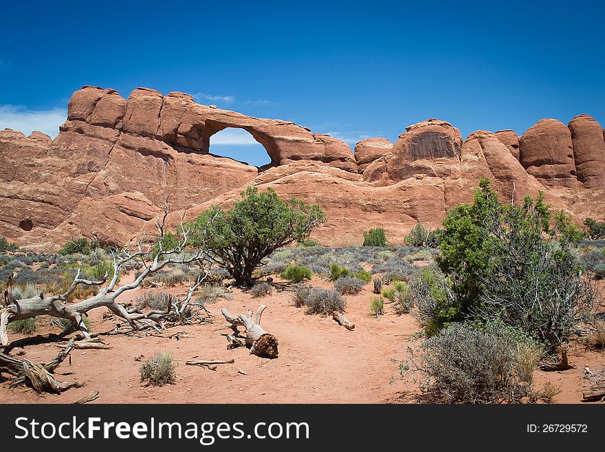Arches national parck,utah,USA-august 9,2012:view of the national park. Arches national parck,utah,USA-august 9,2012:view of the national park.