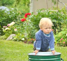 Little Baby Boy Gardener Playing Stock Images