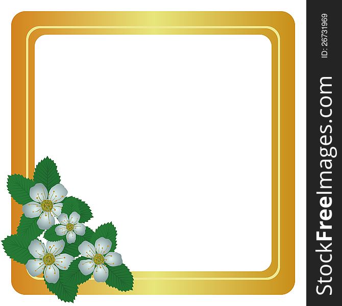 Apple flowers and frame. The illustration on a white background. Apple flowers and frame. The illustration on a white background.
